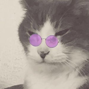 Meet your Posher, Emma